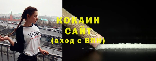 трава Белокуриха