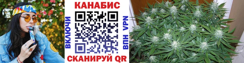 Канабис AK-47  где купить наркоту  Чудово 